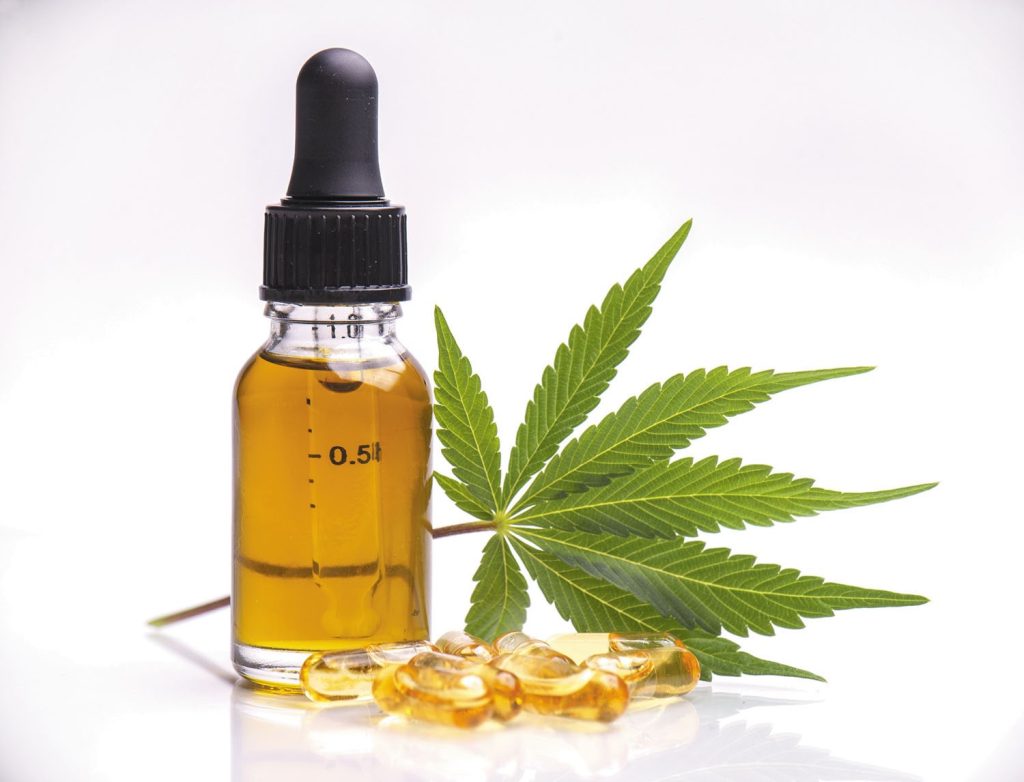 CBD Oil for Dogs